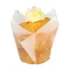 PME tulipános muffin papír, szivárványos pöttyös, 24 db