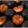 PAVONI FIBERFORM MUFFIN, Szilikon forma, 4x6 db, 40x60 cm