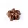 PAVONI FLOWER, virág polikarbonát bonbon forma, 24 db, 3,8x1,2 cm