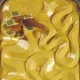 PAVONI DUNE, forma, szilikon, fagyidekorációhoz, 36,15x25,15x2,1 cm
