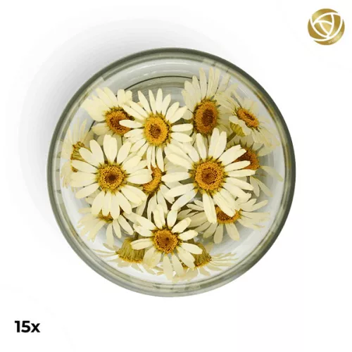 ROSIE ROSE szárított virág, százszorszép, 15db