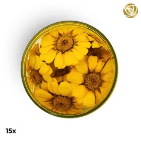 ROSIE ROSE szárított virág, margaréta, 15db