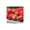 FunCakes aroma paszta, eper, 100g