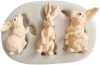 Fondant formázó, szilikon, Nyuszi, 5,1×8,3 cm