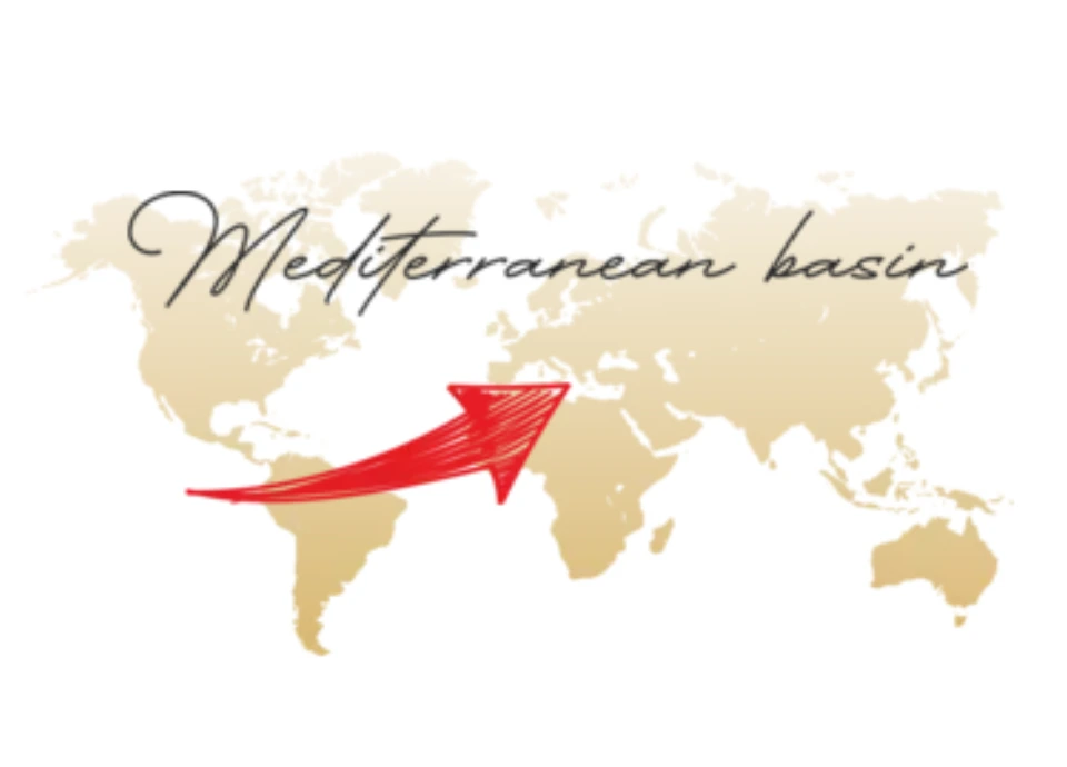 Citromlé – Származás és előnyök