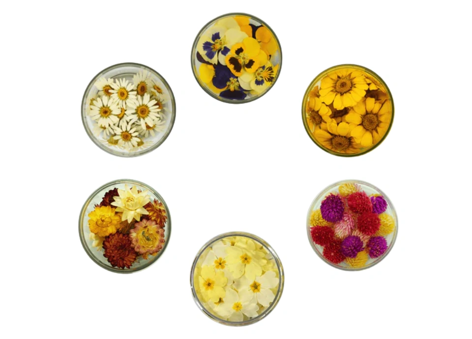 Maximális hatékonyság